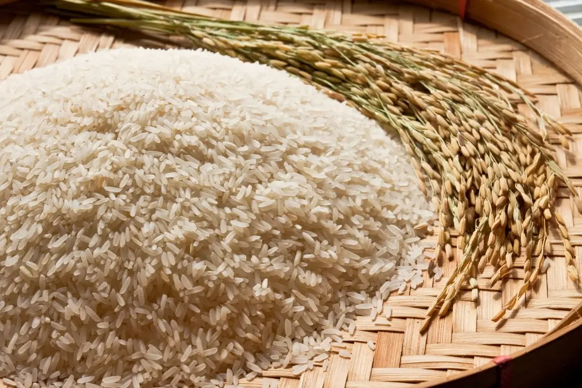رز عنبر كلاسيك بالتوابل